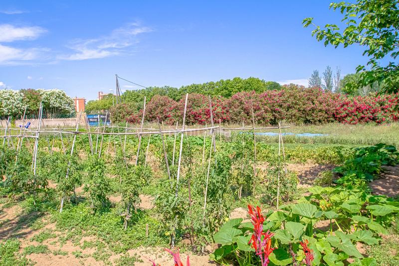 Foto cbc6415f-3bde-44a4-8a83-df4a4f50edc5. Propriété dans Fenals Platja d´Aro