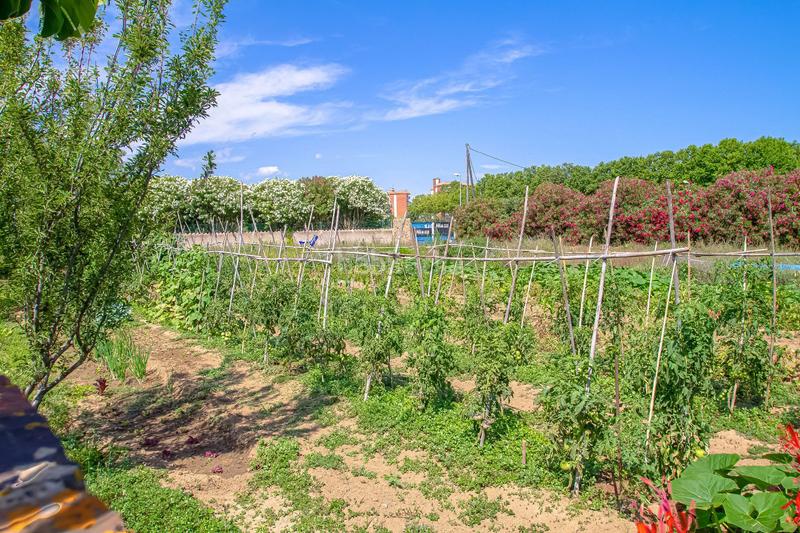 Foto cda05125-5b7a-41c2-a912-fad5c19db76b. Propriété dans Fenals Platja d´Aro