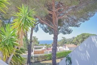Semi detached house  Politur