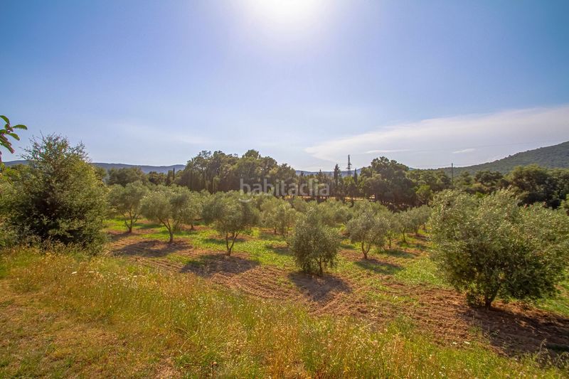 Foto 103243b5-5d0f-4498-84ea-f44894825858. Masia amb calefacció piscina a Cabanyes-Mas Ambrós-Mas Pallí Calonge