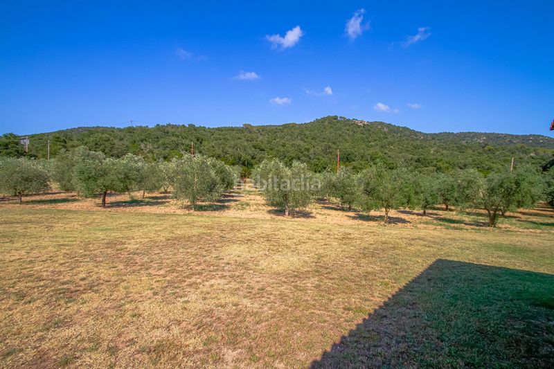 Foto 19b8f430-2887-4299-a863-0ee70bfbd2f0. Masia amb calefacció piscina a Cabanyes-Mas Ambrós-Mas Pallí Calonge