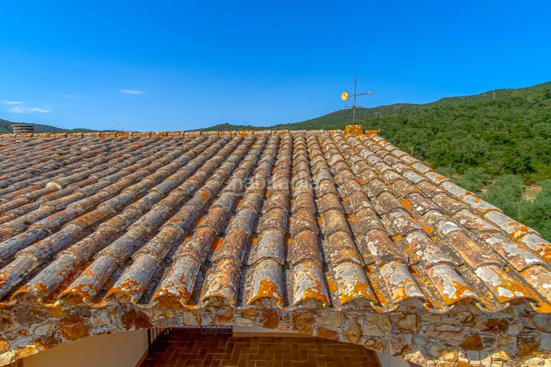 Foto 9909e06b-0e1b-4696-8382-88b5bbe22d0c. Masia amb calefacció piscina a Cabanyes-Mas Ambrós-Mas Pallí Calonge