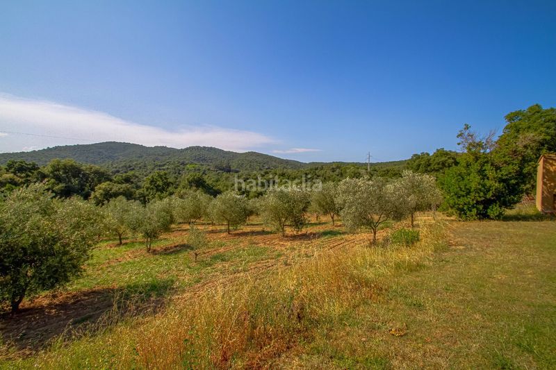 Foto c946aa29-ac1a-411a-a507-4f4062faaabb. Masia amb calefacció piscina a Cabanyes-Mas Ambrós-Mas Pallí Calonge