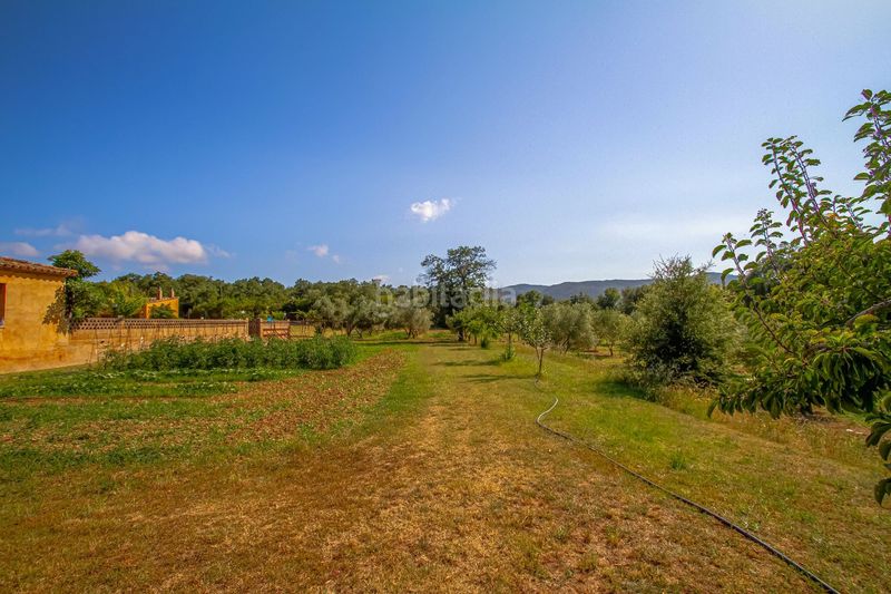 Foto e7e4ada3-6613-401f-bf05-dd2829afea8f. Masia amb calefacció piscina a Cabanyes-Mas Ambrós-Mas Pallí Calonge