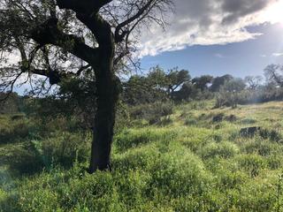 Propriété  Carcaboso. Se vende espectacular finca a 5 minutos de plasencia!