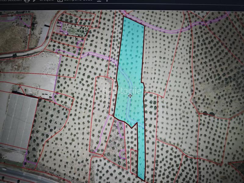 Foto 86e237e2-792d-4e3c-b565-b91cd004cf72. Terreny residencial a Montehermoso