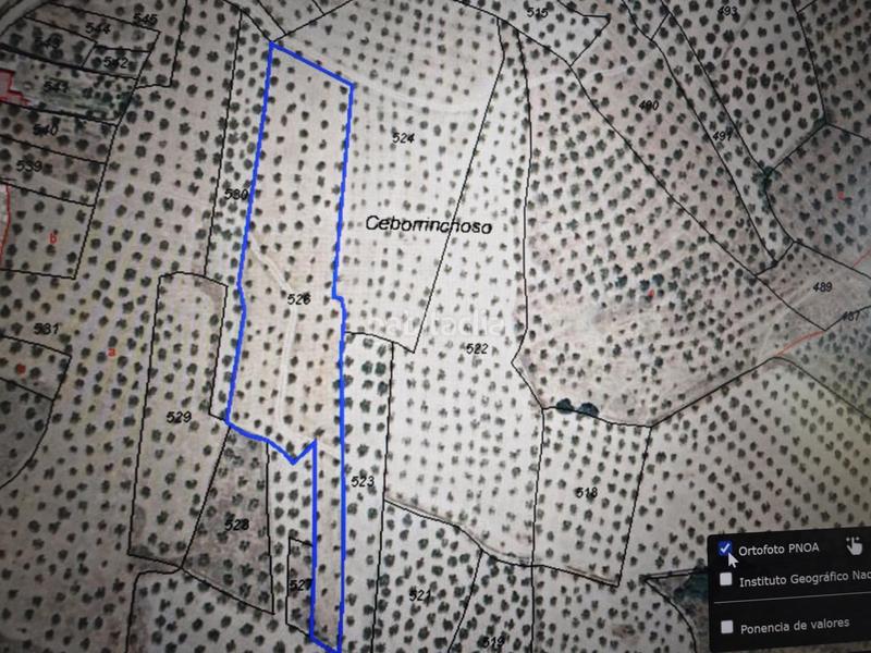 Foto c40d1409-0d73-4d00-8063-9f8b2b4ac506. Terrain résidentiel dans Montehermoso