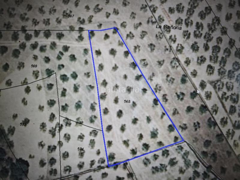 Foto 102aadea-328e-4314-b91c-98bec369b6e3. Terreny residencial a Montehermoso