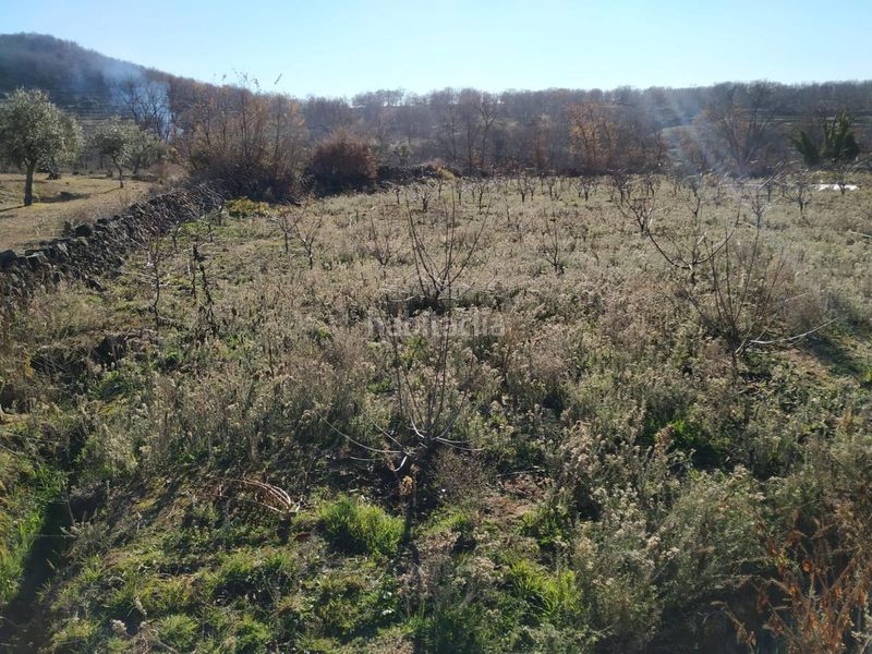 Foto 779a981c-98d8-4dfe-be75-fba7f64223fd. Terreno residenziale in Gargüera