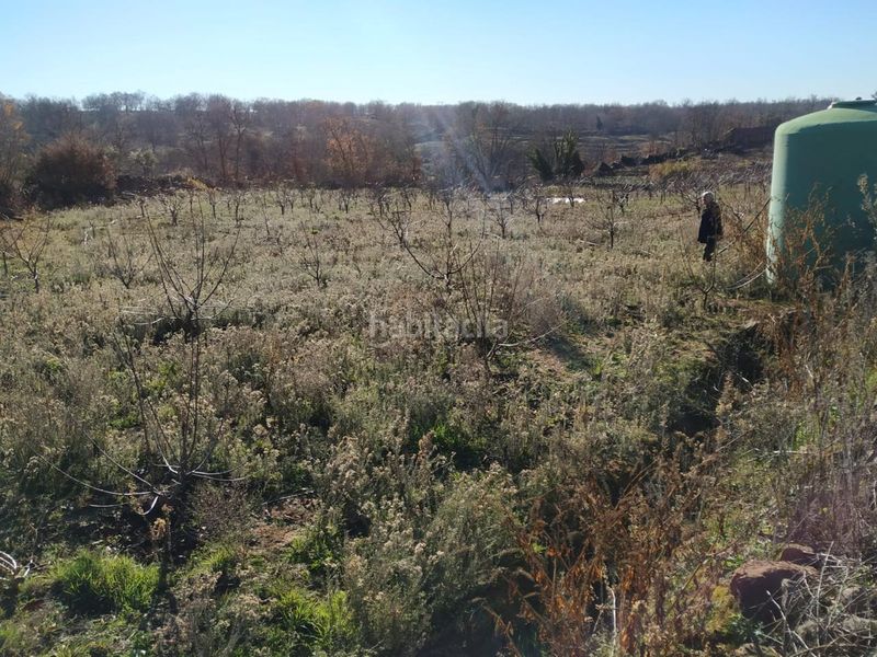 Foto 97d80314-285e-43ed-a5d3-382a53ebb754. Terreno residenziale in Gargüera