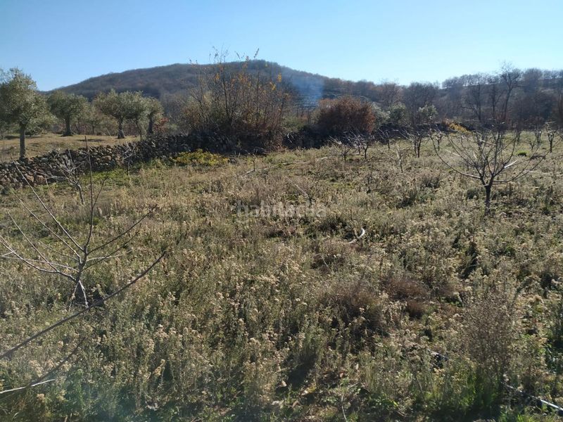 Foto a421d12b-608a-4304-abdb-20c566b0eb93. Terreno residenziale in Gargüera