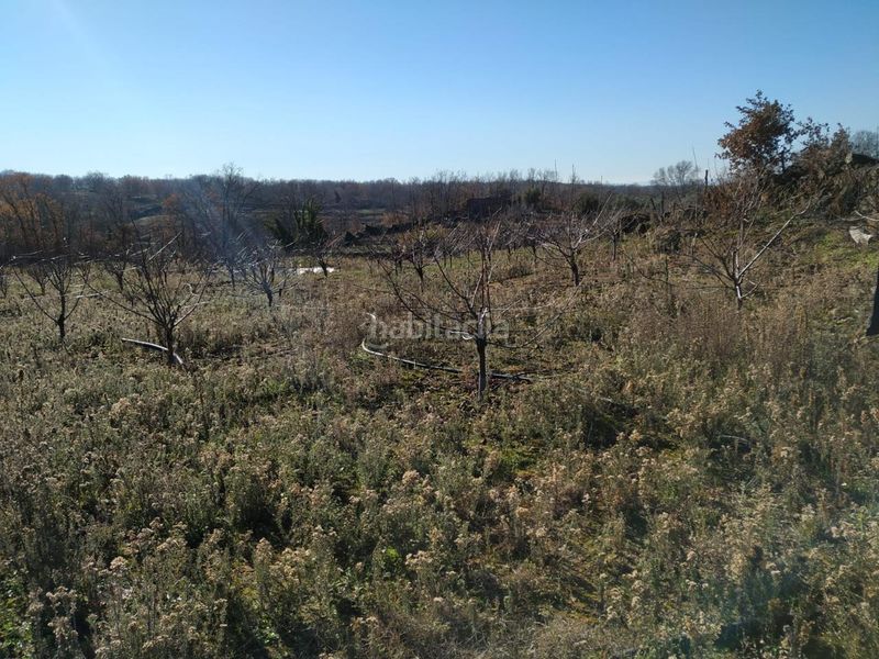 Foto b7d84ae4-36d3-4df4-a32b-c55fecaa90a0. Terreno residenziale in Gargüera