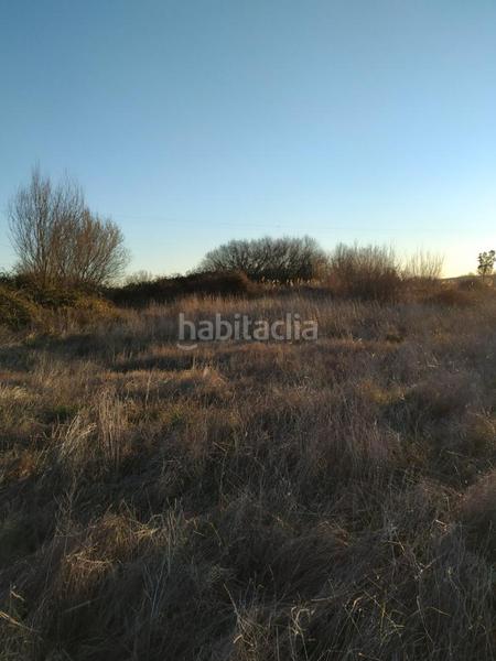 Foto 21a7a9c3-1b3e-45dc-b4ad-fd0d421a653c. Terreny residencial a Carcaboso