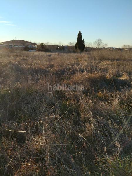 Foto 8fb4bac3-6cea-4993-b930-67dae81227e2. Terreny residencial a Carcaboso