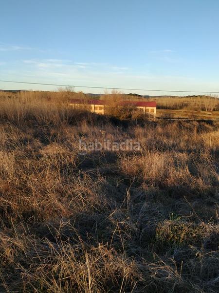 Foto c7a5bd87-e7b7-413a-8f5a-8899ee4ecf55. Terreny residencial a Carcaboso