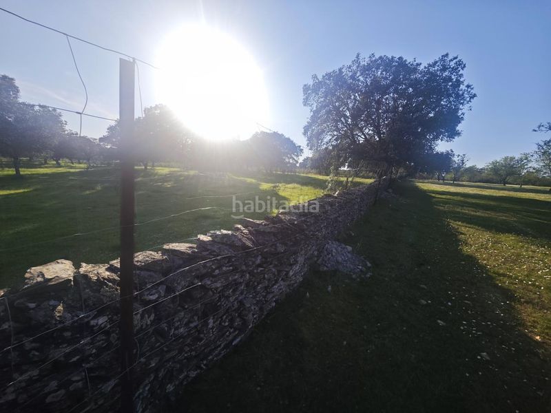 Foto e1de35f2-27a3-4724-bc95-360f07d60140. Planta baja en Zona Sur - Av. De España - San Miguel Plasencia