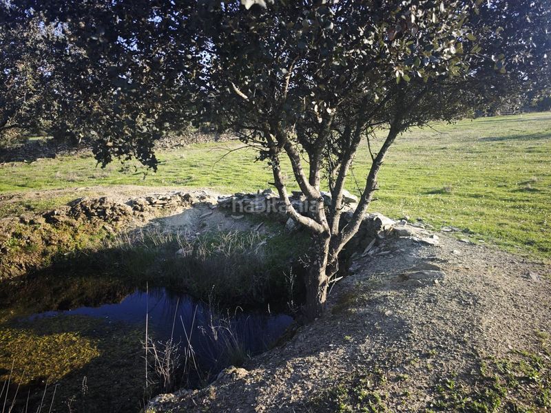 Foto efe4b09a-05e4-4596-830f-62a9080a4a32. Planta baja en Zona Sur - Av. De España - San Miguel Plasencia