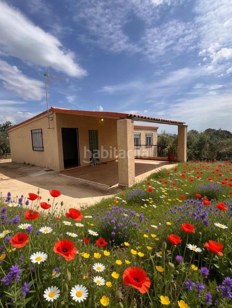 Foto 89e19a80-3b7f-4367-9edc-8f6ab496a473. Casa a Malpartida de Plasencia