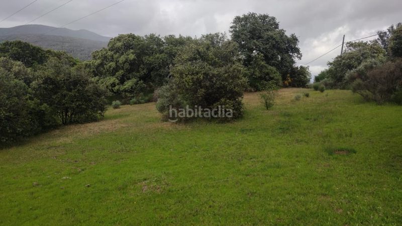 Foto 603f5177-0ebe-46ce-a3d8-a7ba0f804d0e. Finca rústica a Casas del Castañar