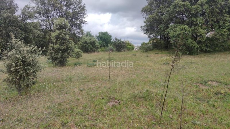Foto d60d4f3f-60c7-43ac-98fe-fc87d4ff2ac2. Finca rústica a Casas del Castañar