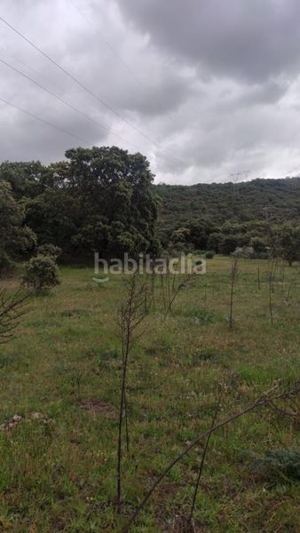 Foto e04aa006-f3ae-4894-9815-27cb4ab1c2f5. Finca rústica a Casas del Castañar