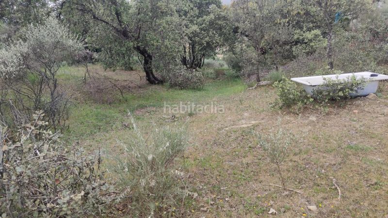 Foto f95dd508-05c5-4f75-9d86-f62846fe983e. Finca rústica a Casas del Castañar