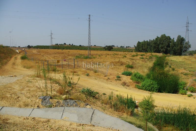Foto 542145cf-2ad3-4167-879c-2018ec09b7a9. Area edificabile industriale in calle poligono 39 in Torres de Cotillas (Las)