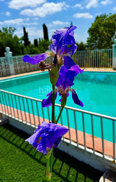 Foto 9f07d2d7-6d4e-4f83-a179-18cc441c0e30. Xalet amb xemeneia piscina a Aroche