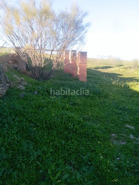 Foto 128bf294-bd21-4129-81c3-d339750c75b9. Finca rústica a Puebla del Maestre