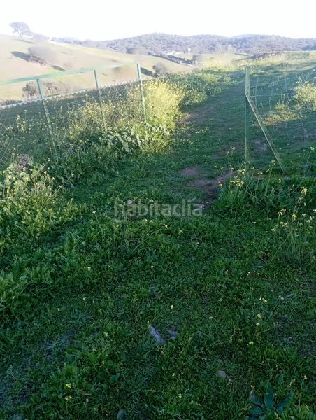 Foto 90edd73e-04a1-484b-b959-528cf8d86fc0. Finca rústica a Puebla del Maestre