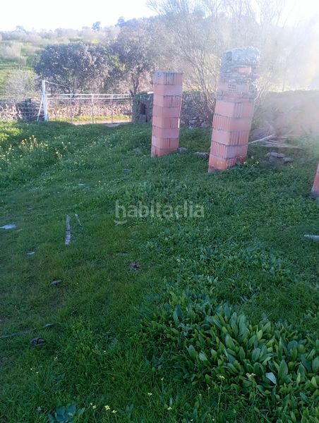 Foto 95c813f4-fff3-42c7-97dd-c37122661c97. Finca rústica a Puebla del Maestre