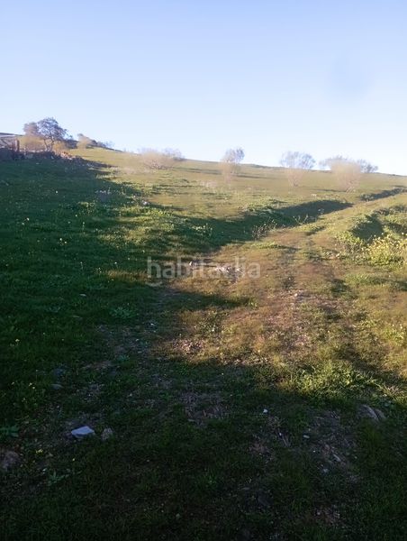 Foto fb415393-0c75-4bab-aff8-a79b8952ecc3. Finca rústica a Puebla del Maestre