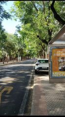 Pis a Sector Sur  - La Palmera - Reina Mercedes