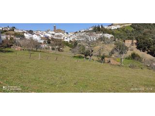 Rural plot in Calle Manuel León