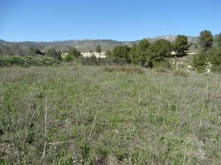 Finca rústica a Moratalla. Refugio natural junto al río  tu rincón privado de tranquilidad