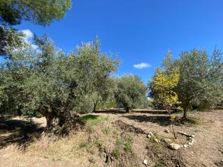 Propriété à Moratalla. Un paraíso natural junto al río benamor