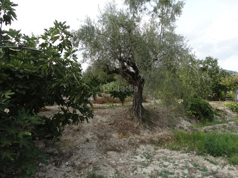 Foto 06a519d1-1772-4176-b320-cffa320985bf. Xalet amb piscina a Moratalla