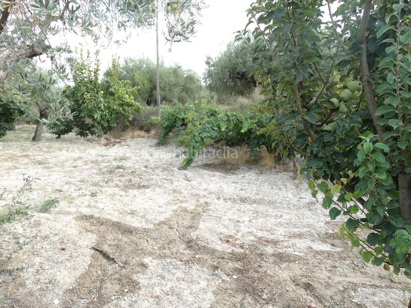Foto 2b0d59bd-efbe-45c9-970a-43b0920fe0a3. Xalet amb piscina a Moratalla