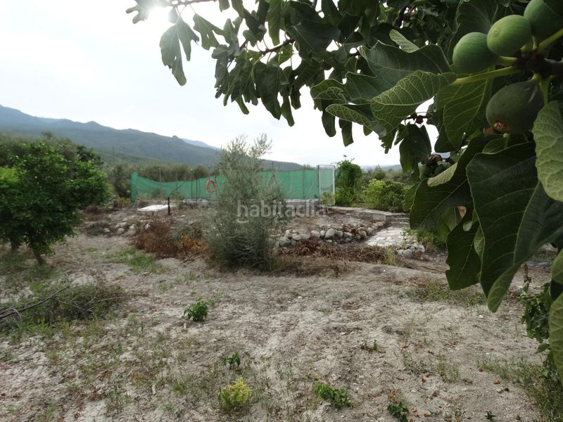 Foto 7a9f5e5b-af9f-4829-af7f-151d6254d0cd. Xalet amb piscina a Moratalla