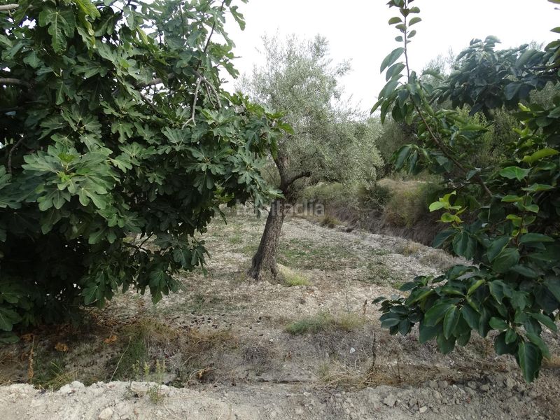 Foto b0eaa739-7b42-46fd-afe3-524991c02a36. Xalet amb piscina a Moratalla