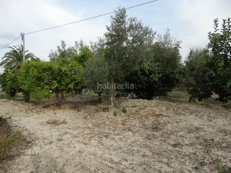 Foto bc61c80d-ec00-4342-a6d4-6f4b808ddecb. Xalet amb piscina a Moratalla