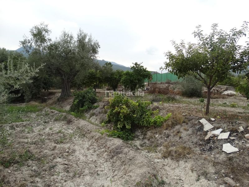Foto edde8cad-319d-4dcb-950b-cd7409b40529. Xalet amb piscina a Moratalla