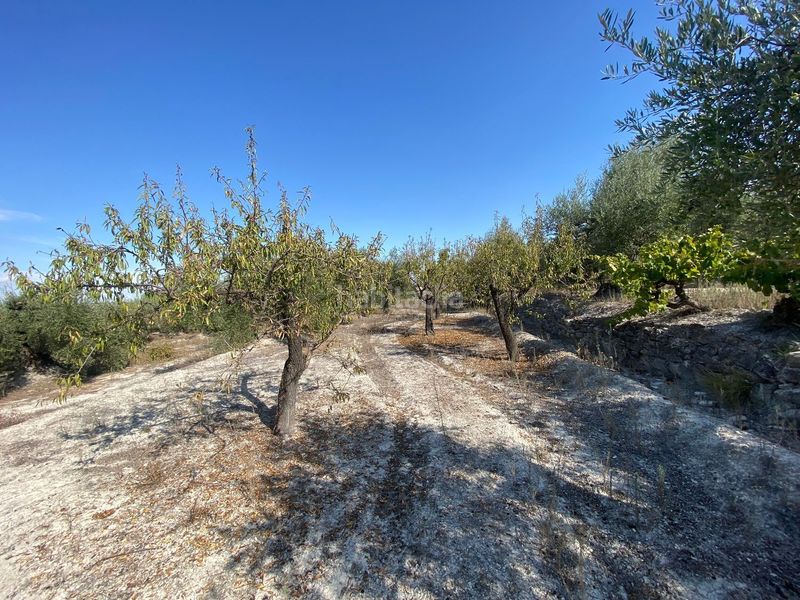 Foto 2f6cf5a4-4dd5-4866-bdbd-8963672731bd. Finca rústica a Moratalla