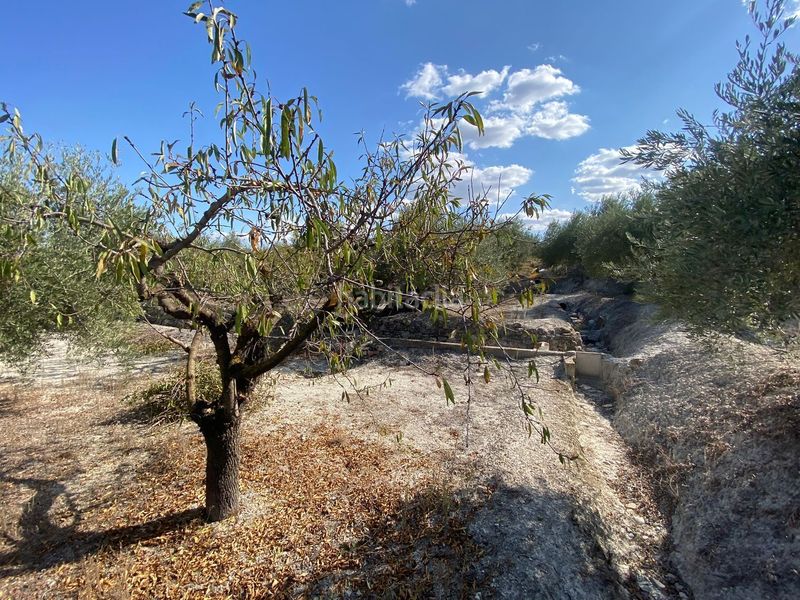 Foto 59adf654-e655-4fe7-ba6c-df38c4891317. Finca rústica a Moratalla