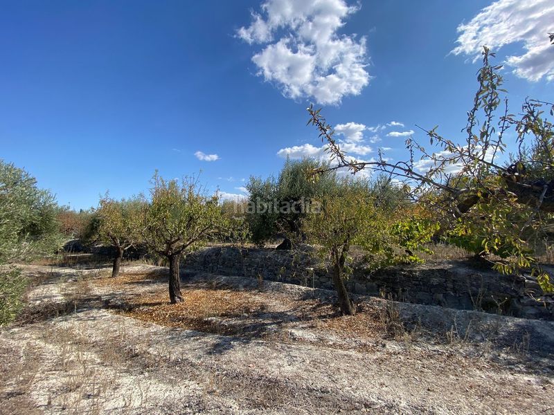 Foto 5b73efc7-5da3-4dbc-b820-7802c215c3e3. Finca rústica a Moratalla
