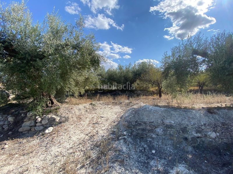 Foto 5be52d3c-d3c6-48b6-9c6b-1e9893bb1c85. Finca rústica a Moratalla