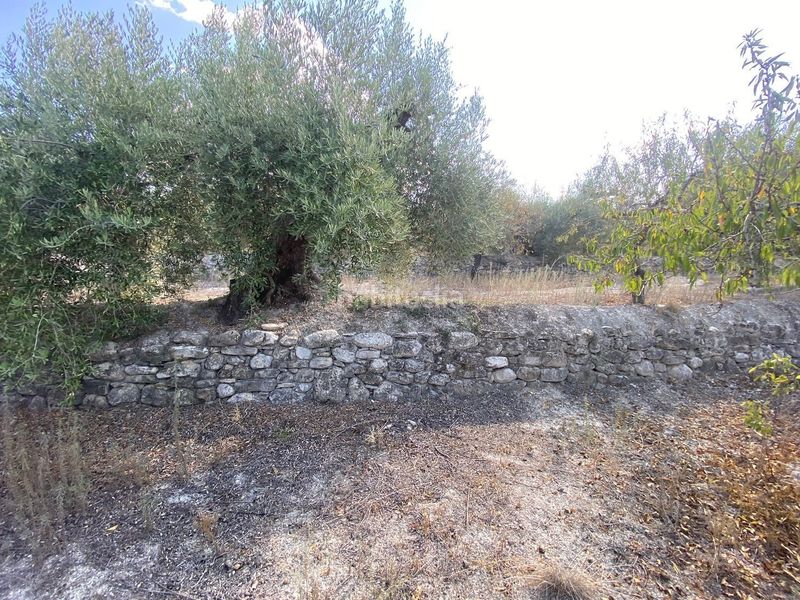 Foto 65c42058-8ce4-4967-81ee-99fb29fc8b33. Finca rústica a Moratalla