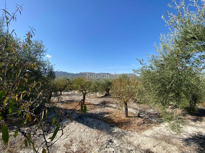 Foto a08cc543-7481-41a6-9bcd-7b04482a2865. Finca rústica a Moratalla