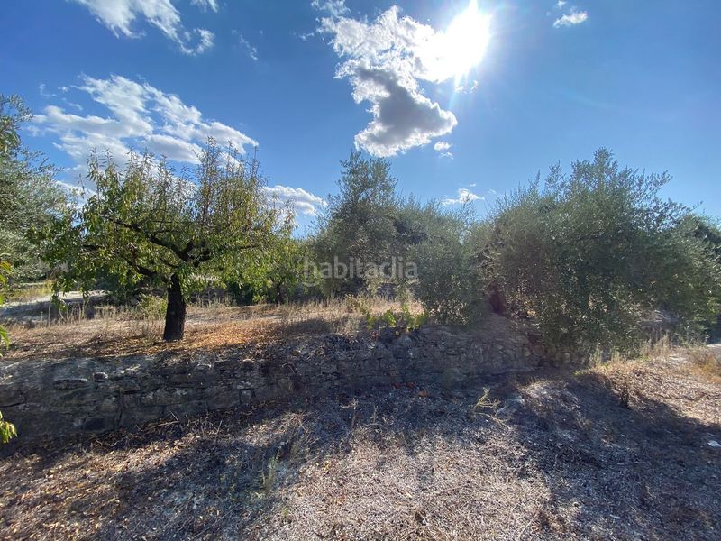 Foto b5253c73-bb34-419e-8f57-6e034b17b976. Finca rústica a Moratalla