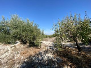 Finca rústica a Moratalla